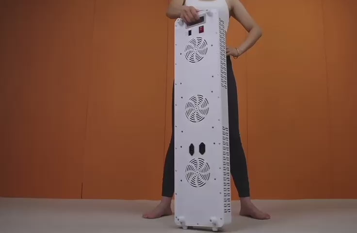 body