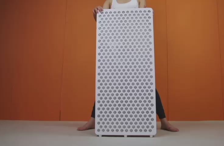 body max 